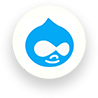 Hire Drupal Developer