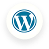 Hire WordPress Developer